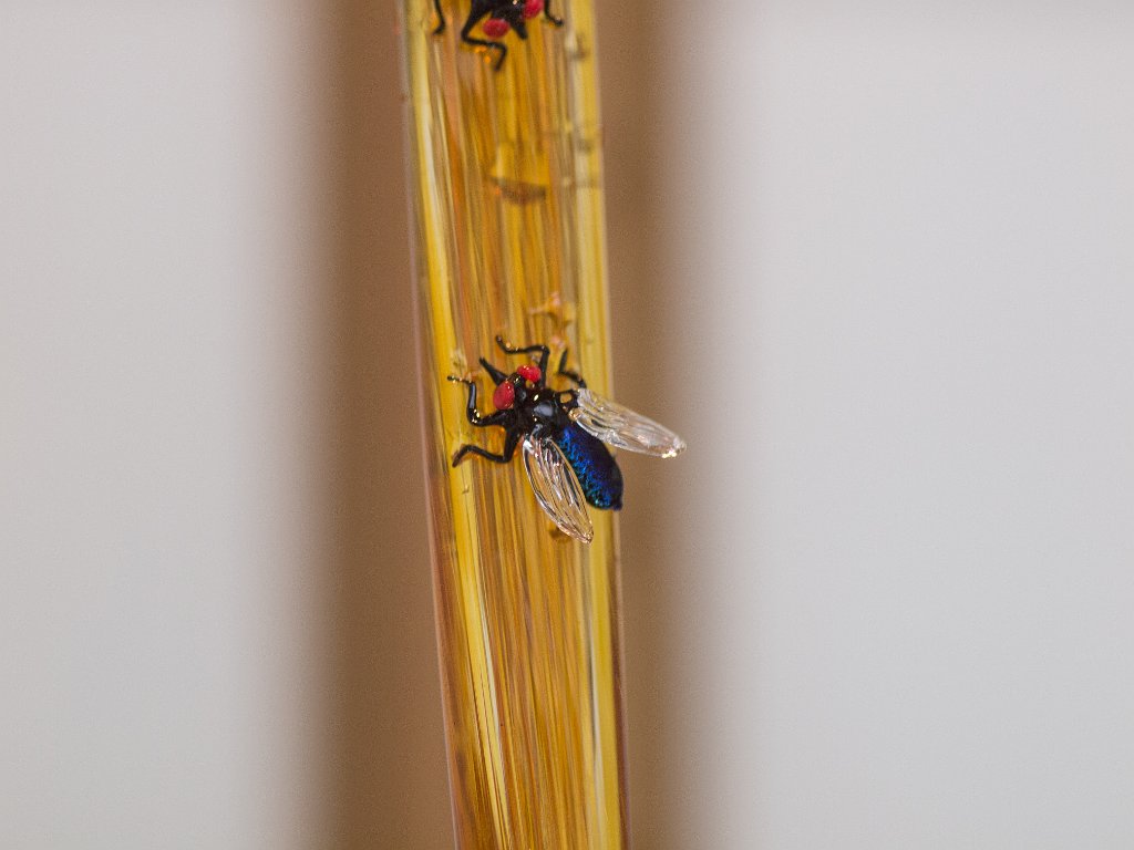 P5012608.jpg - OLYMPUS DIGITAL CAMERA