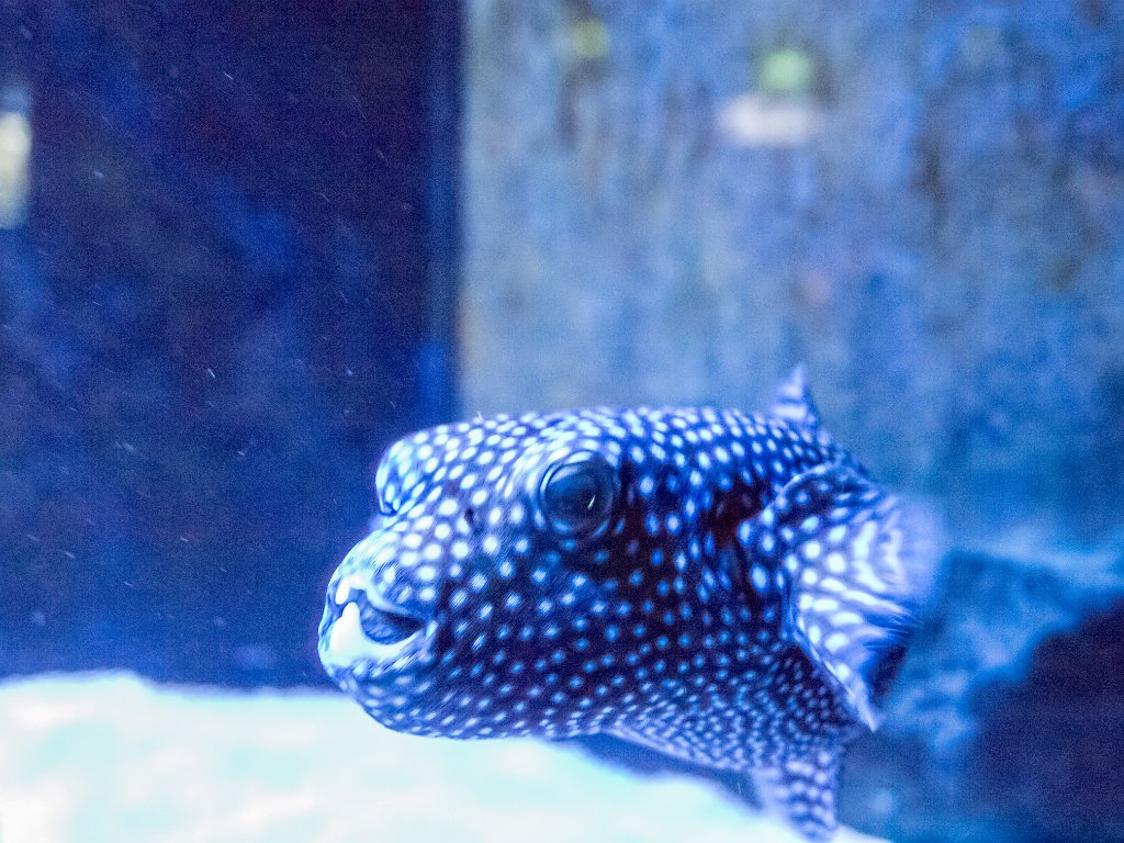 P5022621.jpg - OLYMPUS DIGITAL CAMERA