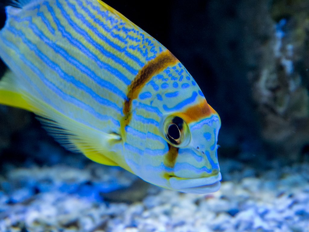 P5022627.jpg - OLYMPUS DIGITAL CAMERA