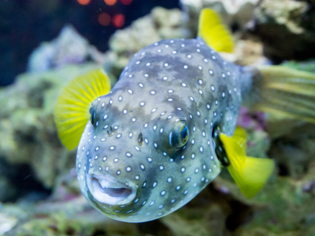 P5022633.jpg - OLYMPUS DIGITAL CAMERA