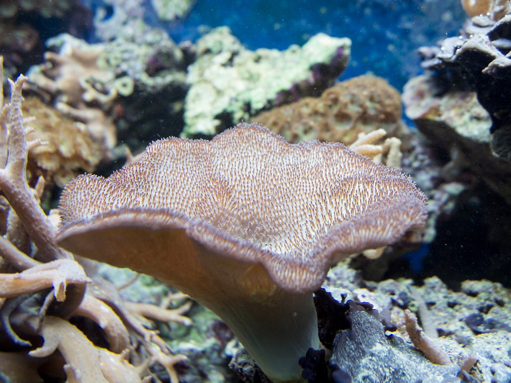 P5022640.jpg - OLYMPUS DIGITAL CAMERA