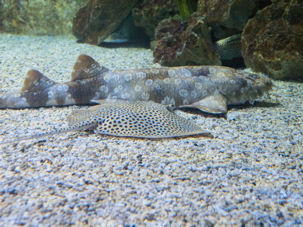 P5022649.jpg - OLYMPUS DIGITAL CAMERA