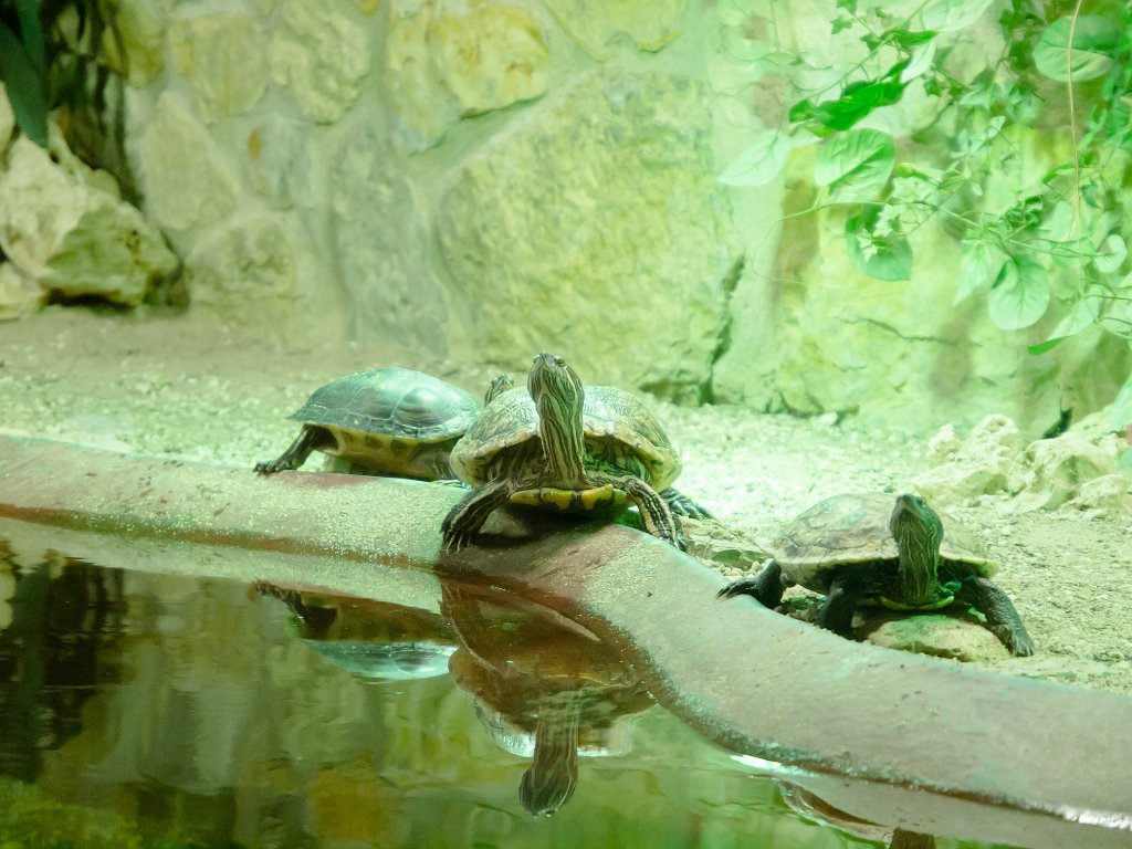 P5022674.jpg - OLYMPUS DIGITAL CAMERA