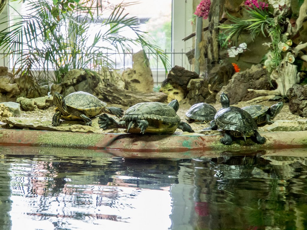 P5022678.jpg - OLYMPUS DIGITAL CAMERA