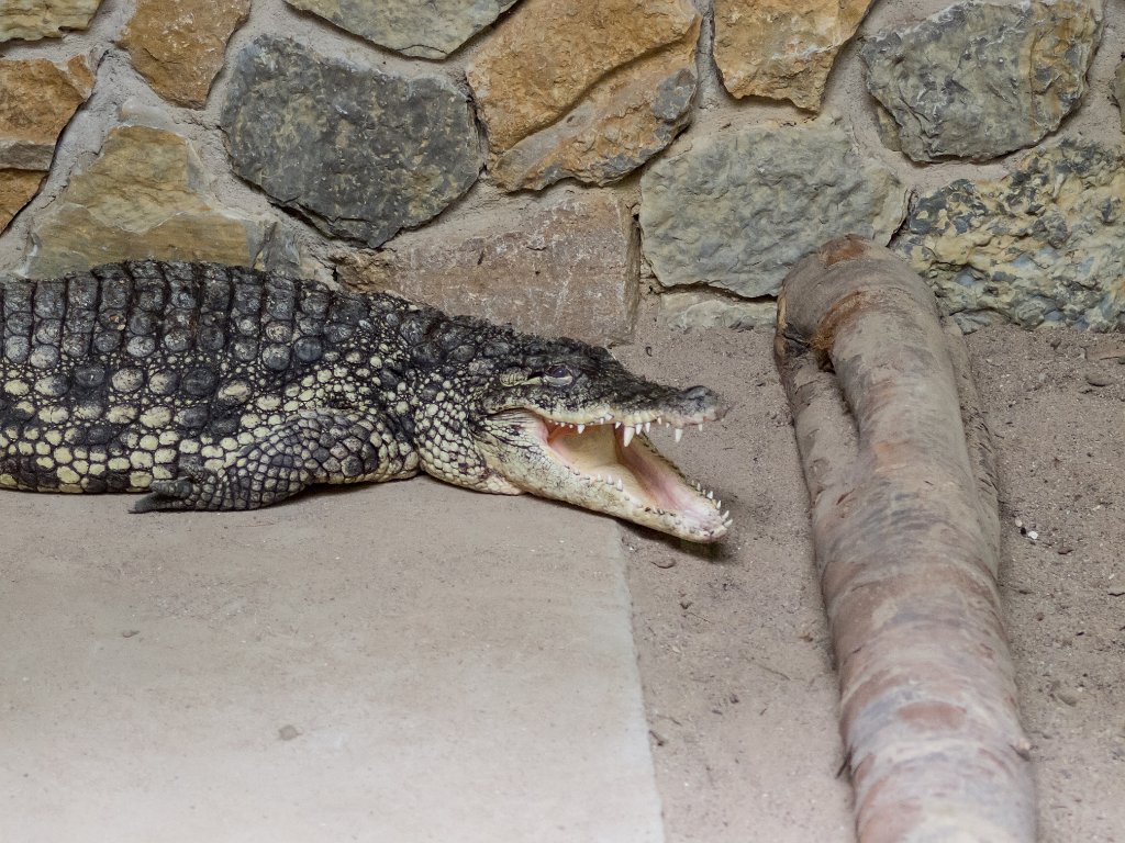 P5022703.jpg - OLYMPUS DIGITAL CAMERA