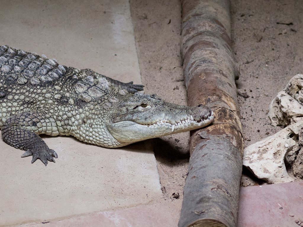 P5022705.jpg - OLYMPUS DIGITAL CAMERA