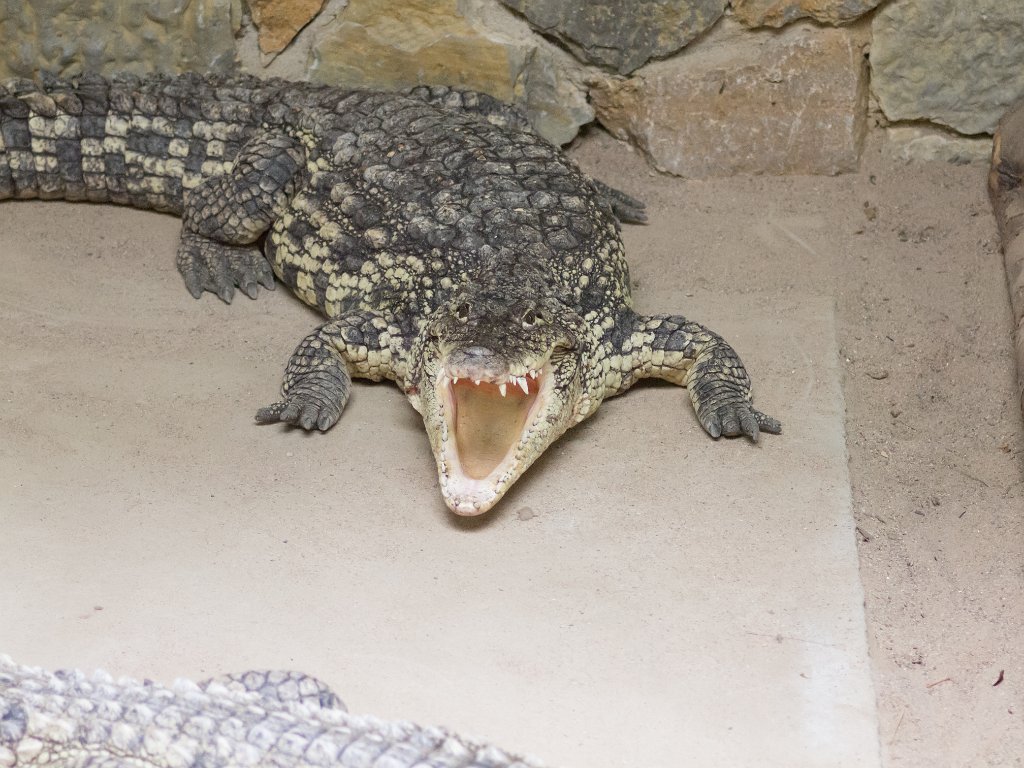 P5022709.jpg - OLYMPUS DIGITAL CAMERA