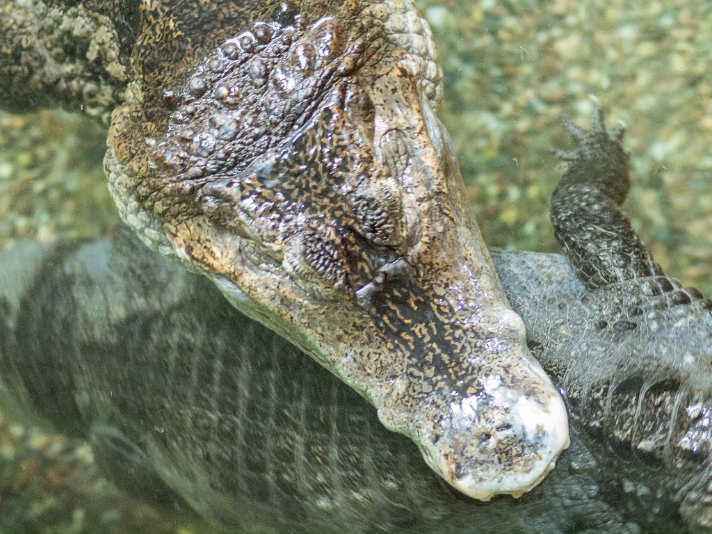 P5022711.jpg - OLYMPUS DIGITAL CAMERA