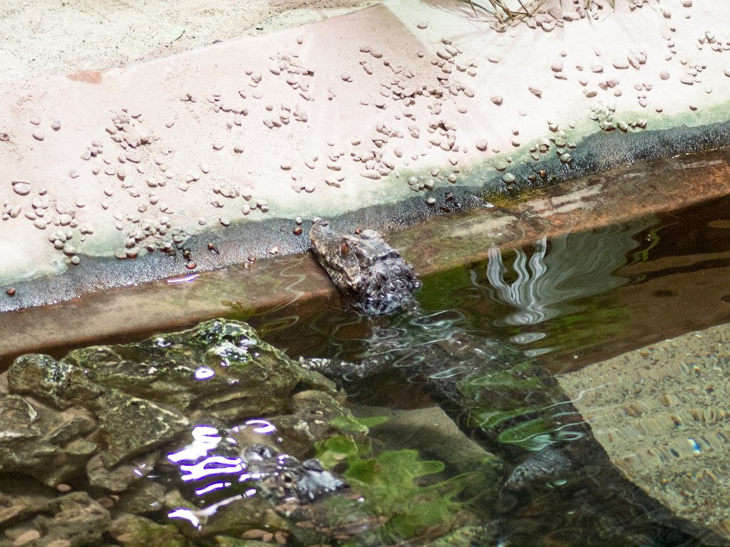 P5022714.jpg - OLYMPUS DIGITAL CAMERA