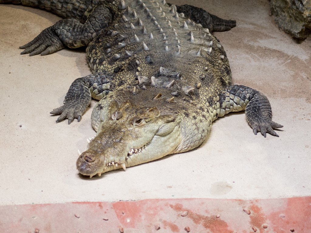 P5022719.jpg - OLYMPUS DIGITAL CAMERA