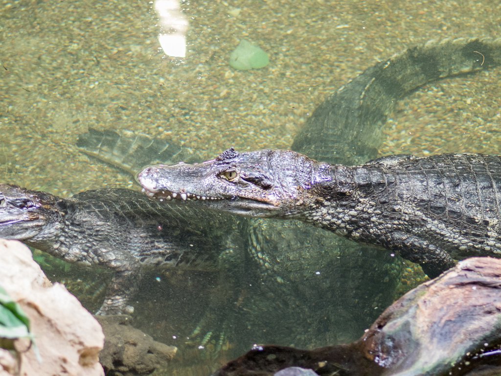 P5022730.jpg - OLYMPUS DIGITAL CAMERA