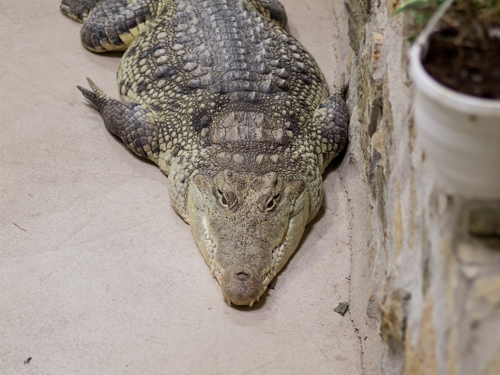 P5022735.jpg - OLYMPUS DIGITAL CAMERA