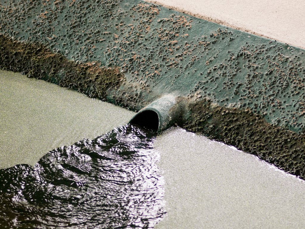 P5022743.jpg - OLYMPUS DIGITAL CAMERA