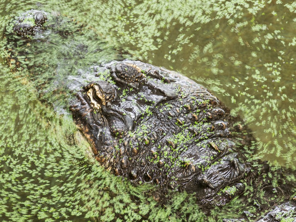 P5022757.jpg - OLYMPUS DIGITAL CAMERA