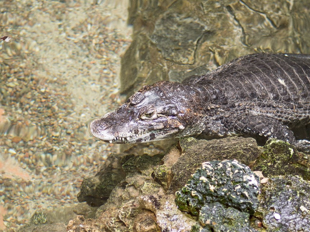 P5022760.jpg - OLYMPUS DIGITAL CAMERA