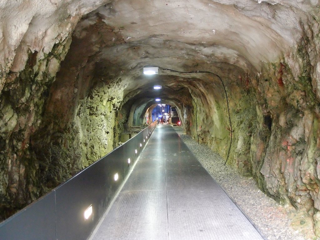 P7202510.jpg - OLYMPUS DIGITAL CAMERA