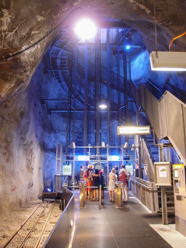 P7202512.jpg - OLYMPUS DIGITAL CAMERA