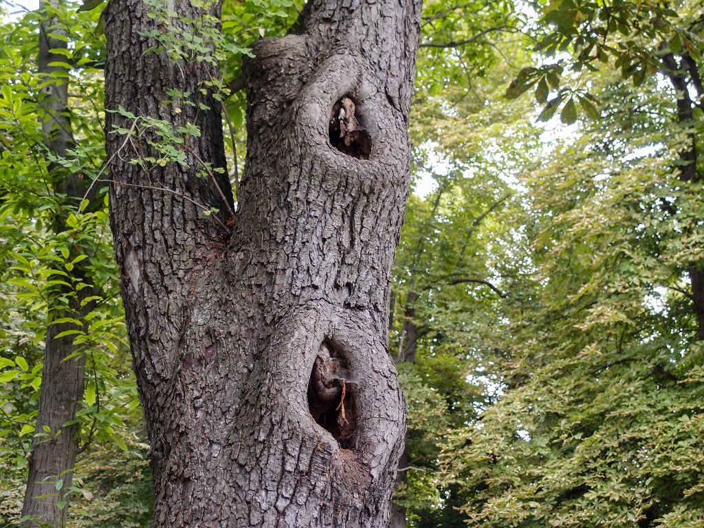 P7202520.jpg - OLYMPUS DIGITAL CAMERA