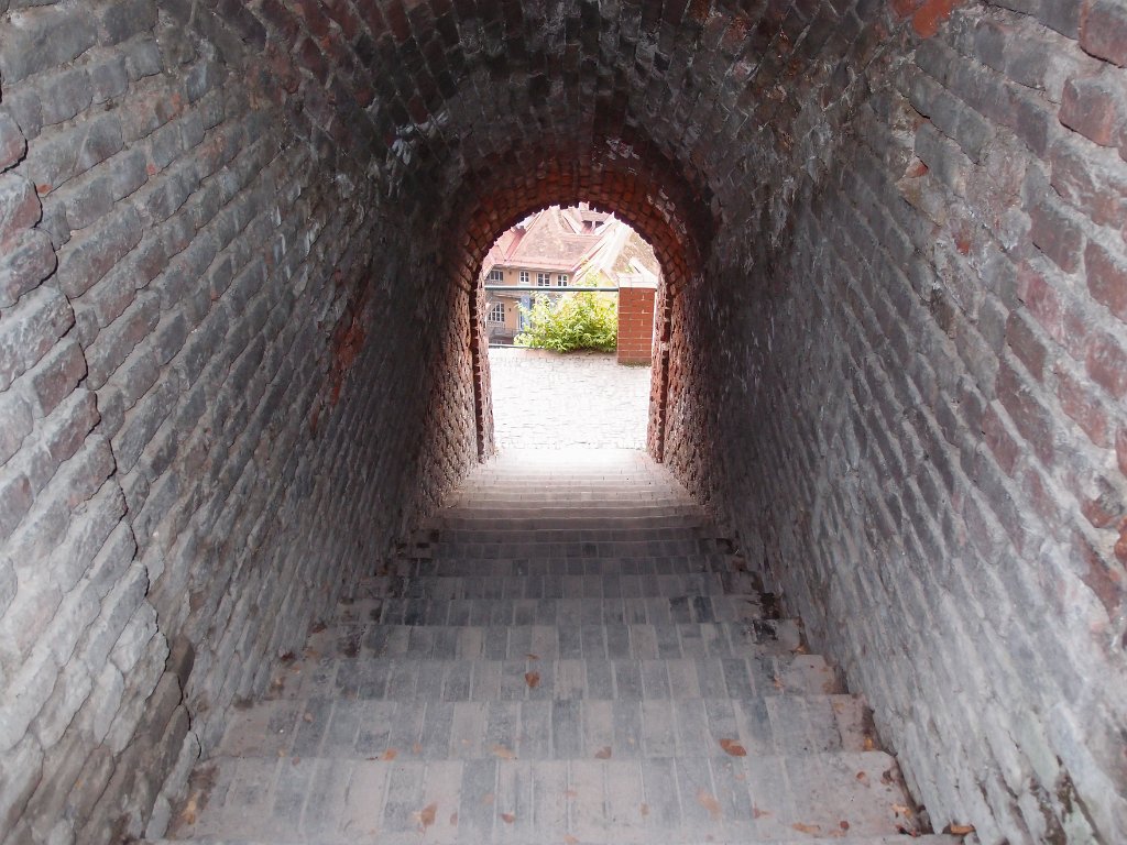 P7202547.jpg - OLYMPUS DIGITAL CAMERA