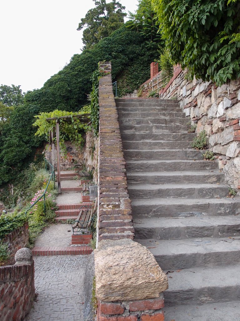 P7202551.jpg - OLYMPUS DIGITAL CAMERA