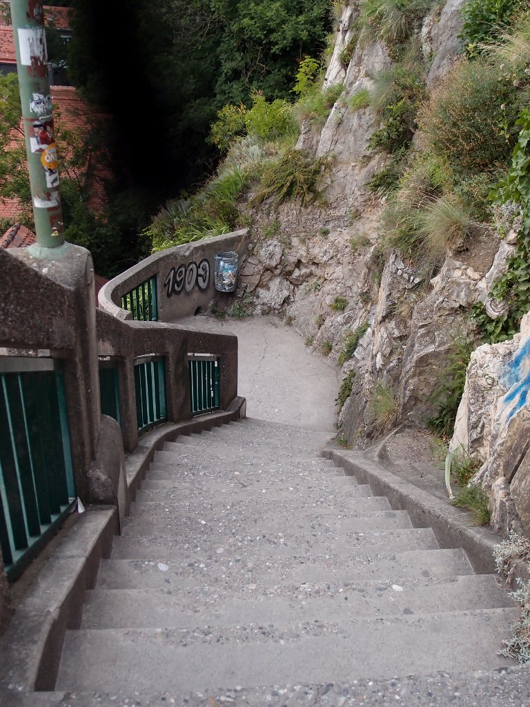 P7202564.jpg - OLYMPUS DIGITAL CAMERA