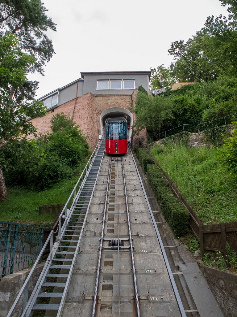 P7215258.jpg - OLYMPUS DIGITAL CAMERA