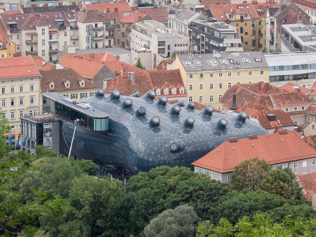 P7215298.jpg - OLYMPUS DIGITAL CAMERA