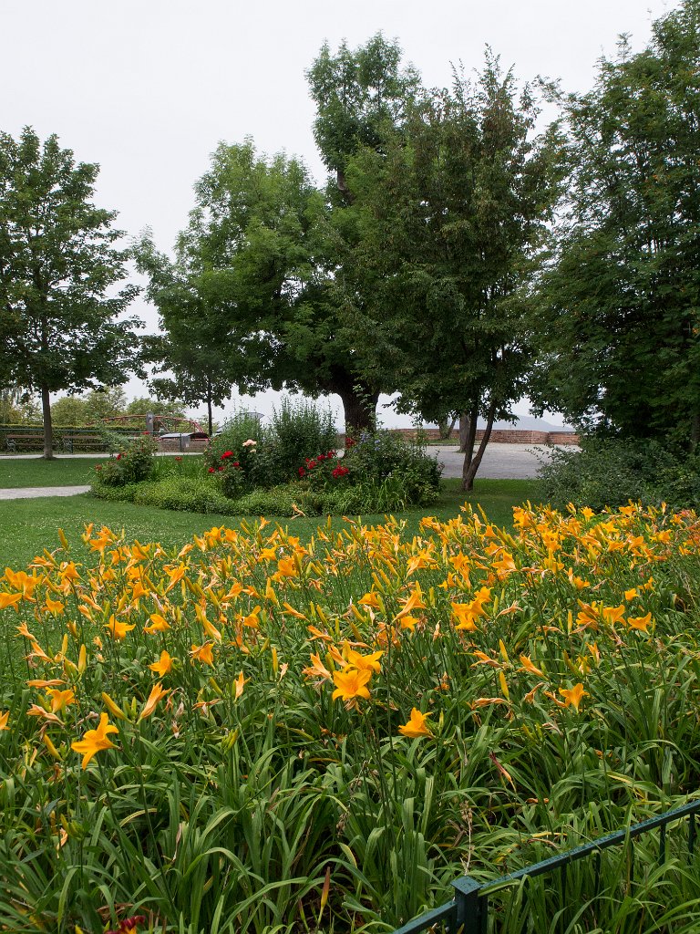 P7215325.jpg - OLYMPUS DIGITAL CAMERA