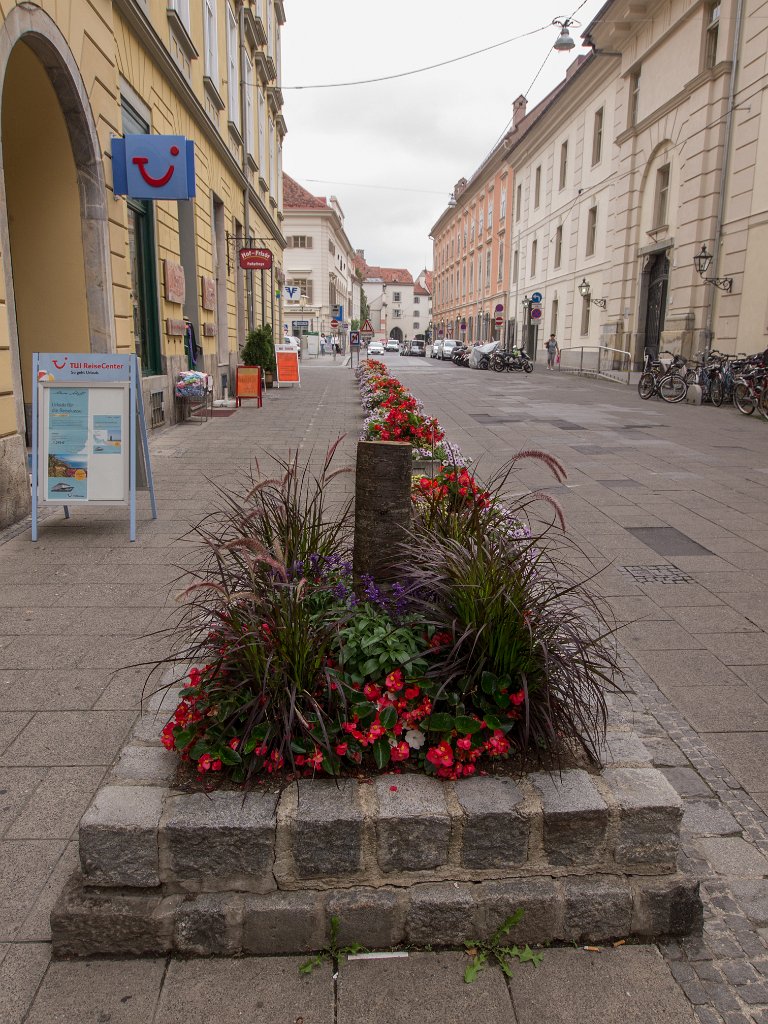 P7225449.jpg - OLYMPUS DIGITAL CAMERA