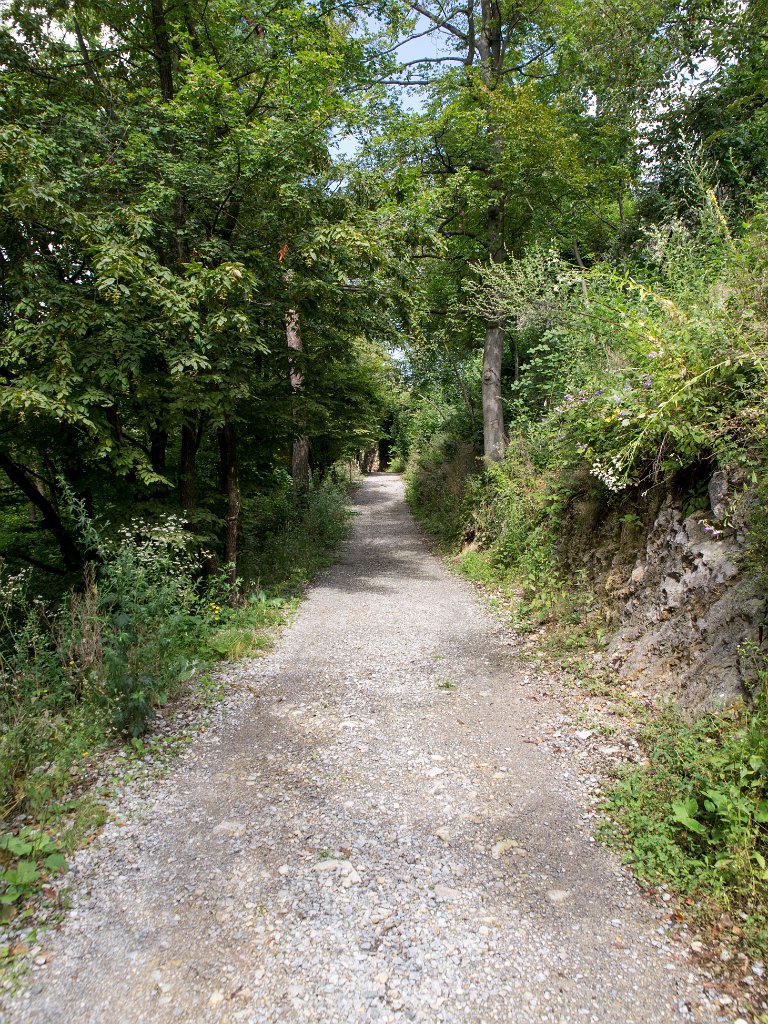 P7235672.jpg - OLYMPUS DIGITAL CAMERA