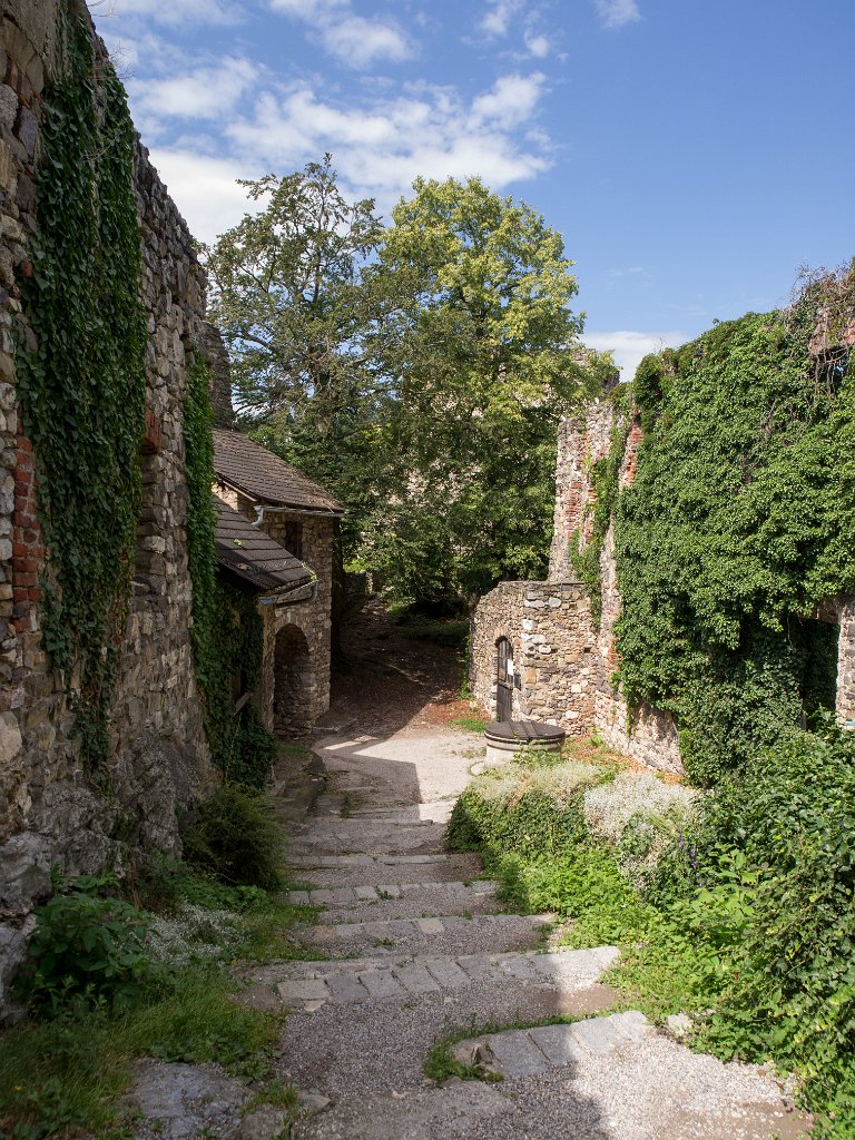 P7235722.jpg - OLYMPUS DIGITAL CAMERA