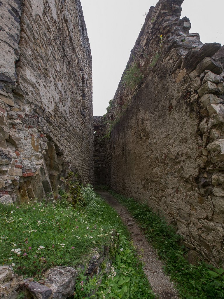 P7235776.jpg - OLYMPUS DIGITAL CAMERA