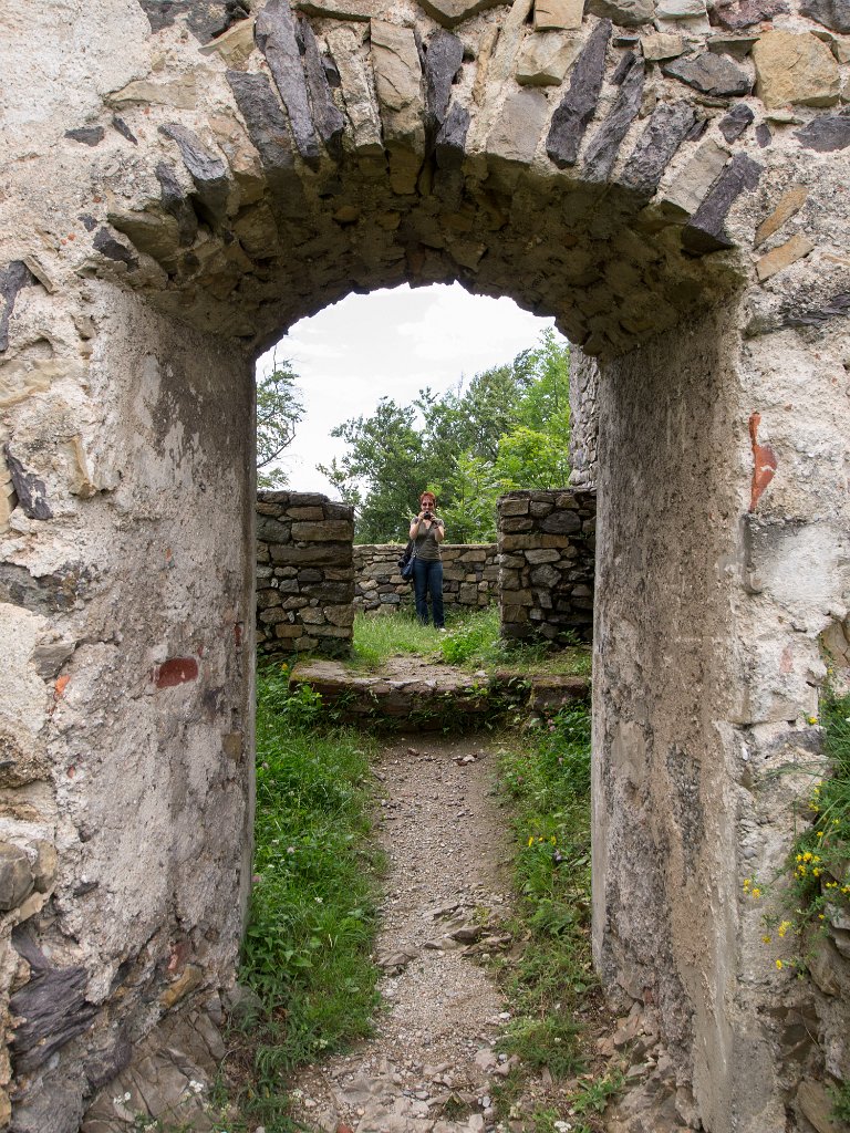 P7235781.jpg - OLYMPUS DIGITAL CAMERA