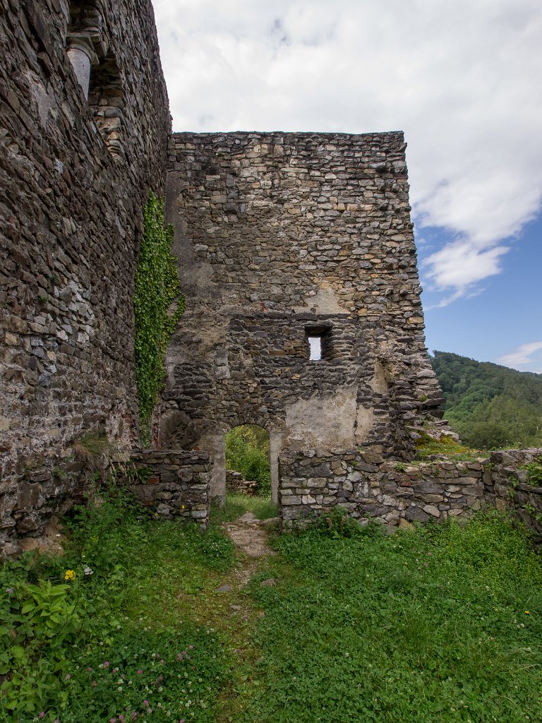 P7235788.jpg - OLYMPUS DIGITAL CAMERA