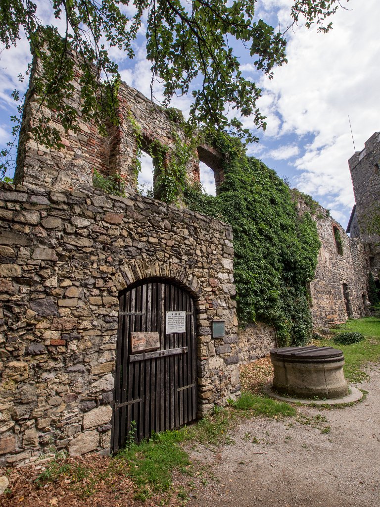 P7235798.jpg - OLYMPUS DIGITAL CAMERA