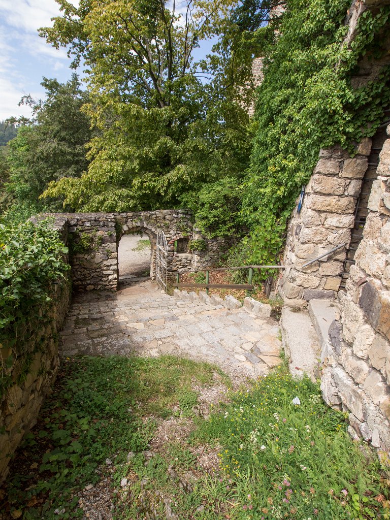 P7235806.jpg - OLYMPUS DIGITAL CAMERA