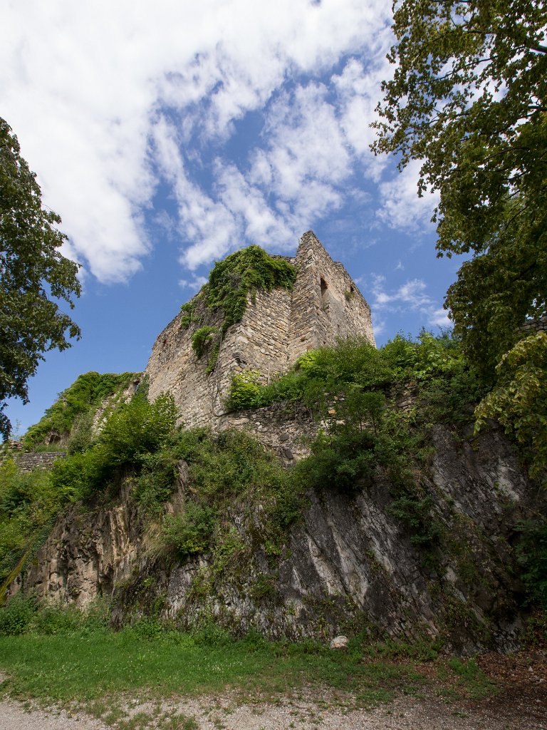 P7235816.jpg - OLYMPUS DIGITAL CAMERA