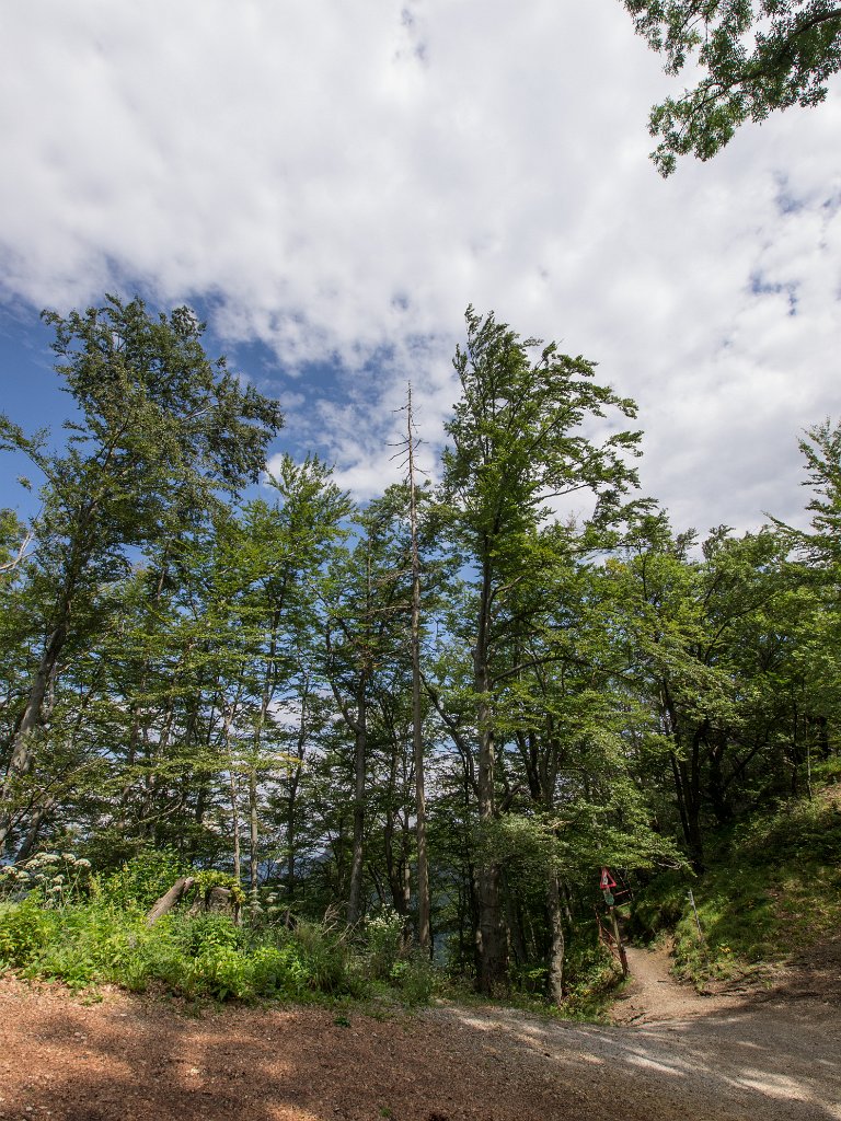 P7235836.jpg - OLYMPUS DIGITAL CAMERA