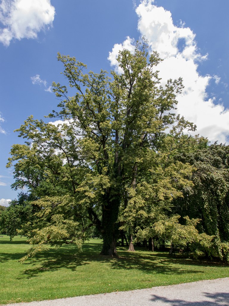 P7235903.jpg - OLYMPUS DIGITAL CAMERA