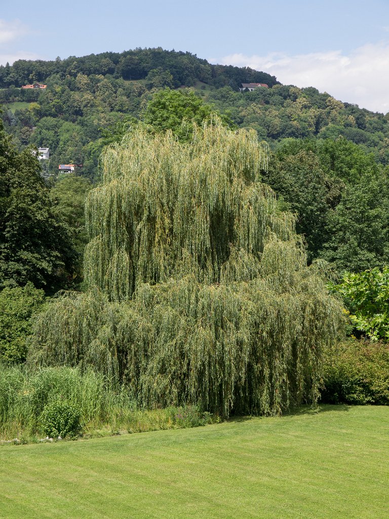 P7235951.jpg - OLYMPUS DIGITAL CAMERA