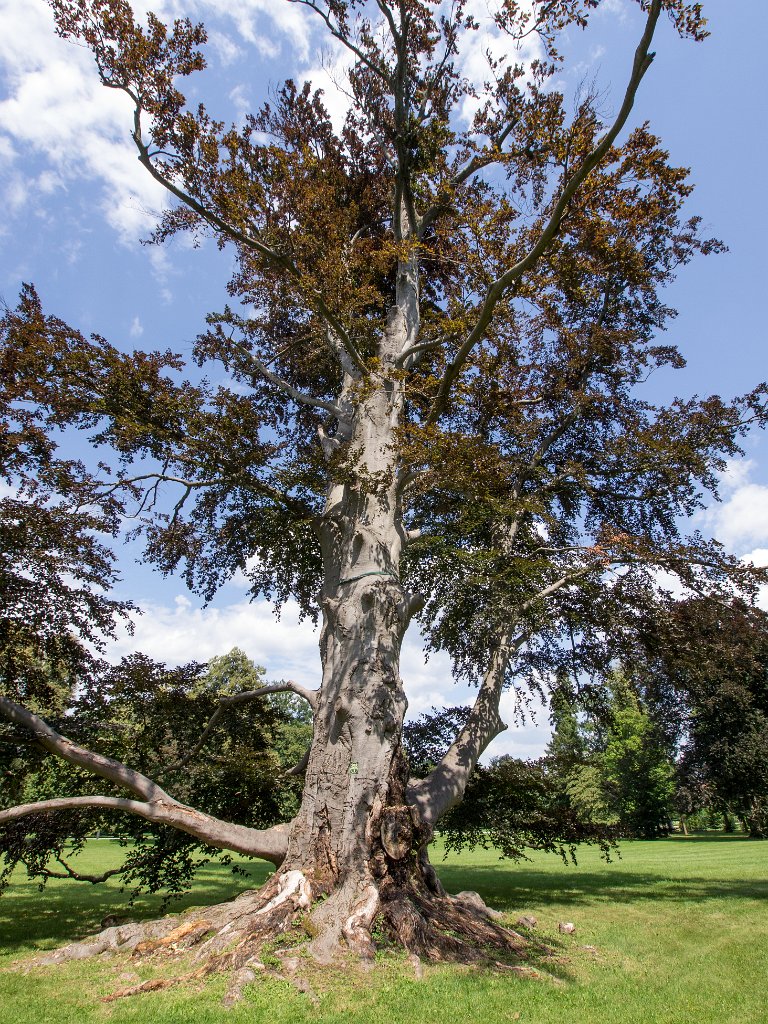 P7236060.jpg - OLYMPUS DIGITAL CAMERA