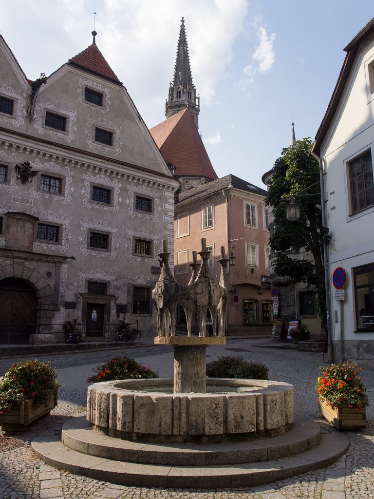 P7252895.jpg - OLYMPUS DIGITAL CAMERA