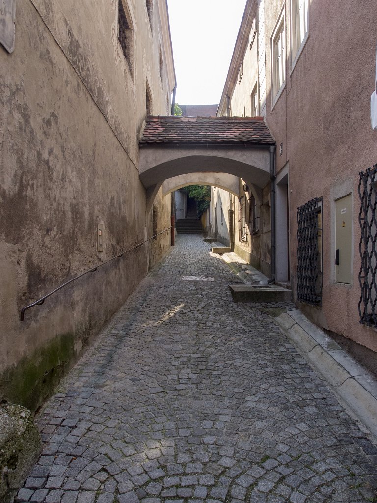 P7252901.jpg - OLYMPUS DIGITAL CAMERA