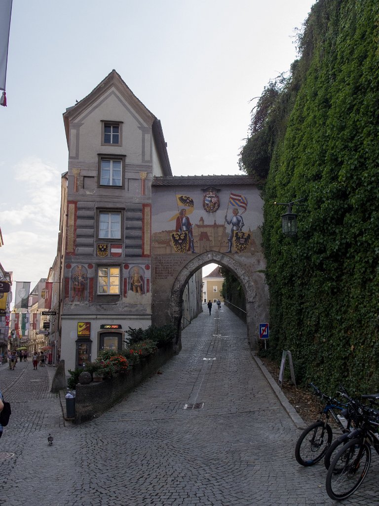 P7252935.jpg - OLYMPUS DIGITAL CAMERA