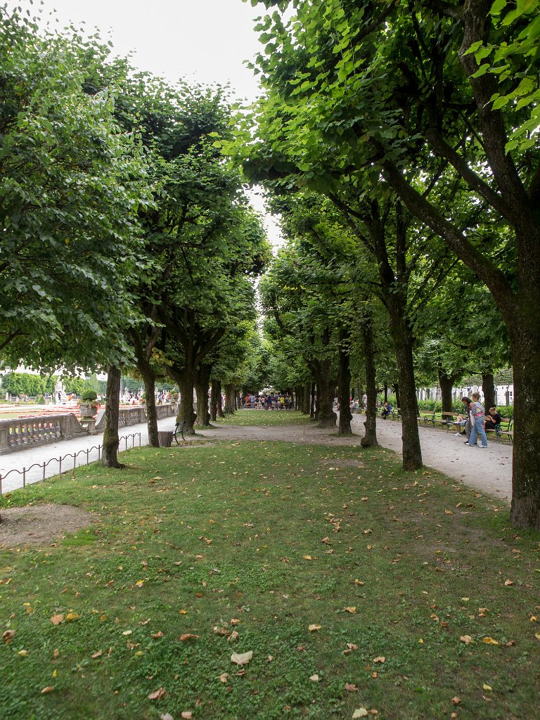 P7266316.jpg - OLYMPUS DIGITAL CAMERA