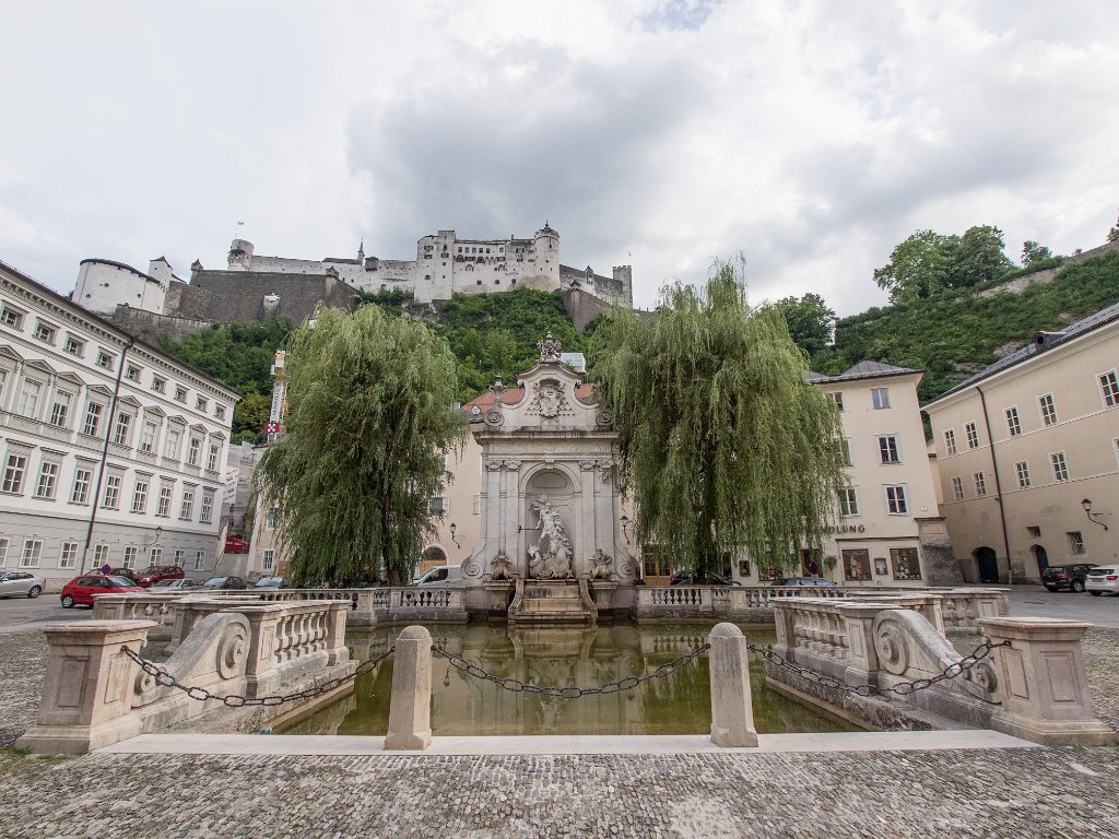 P7266500.jpg - OLYMPUS DIGITAL CAMERA