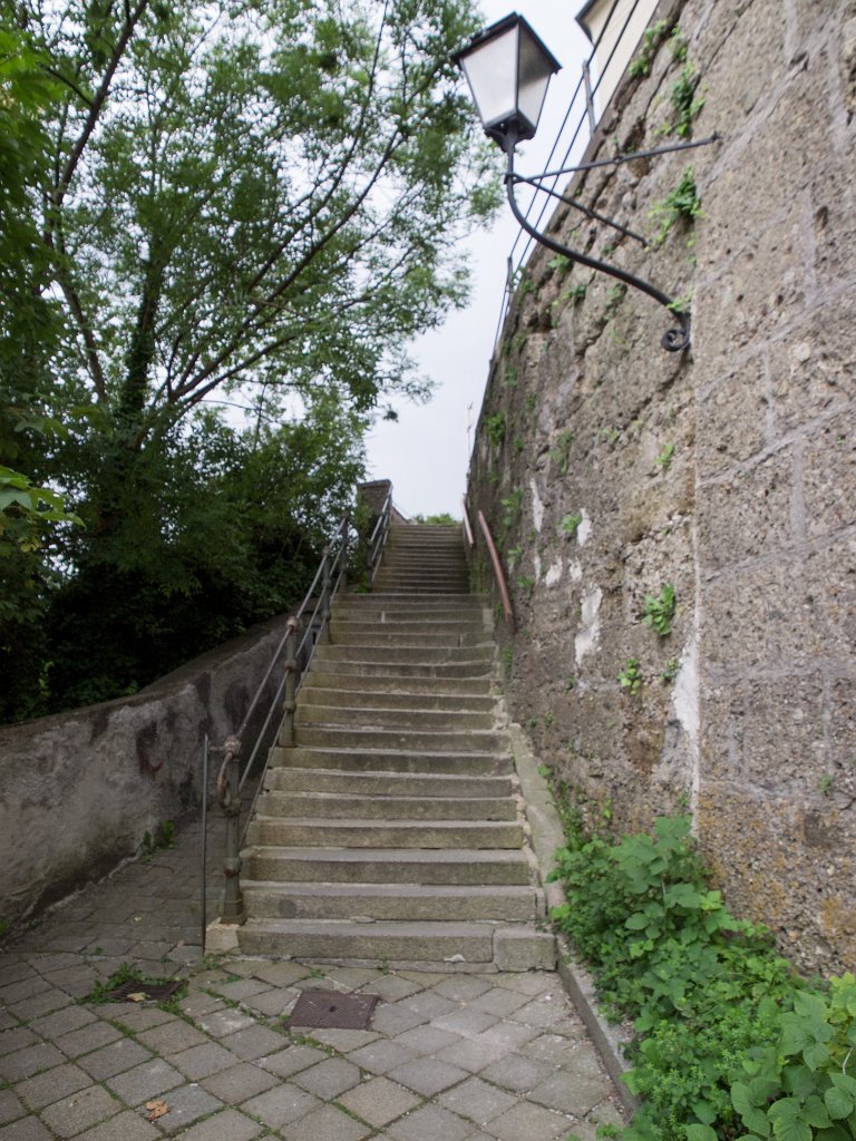 P7266595.jpg - OLYMPUS DIGITAL CAMERA