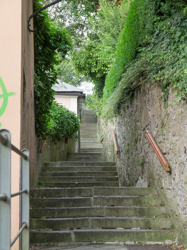 P7266604.jpg - OLYMPUS DIGITAL CAMERA