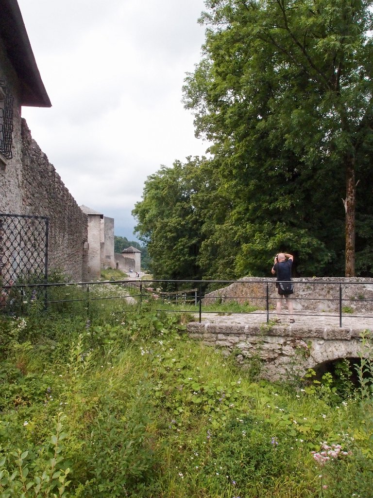 P7273034.jpg - OLYMPUS DIGITAL CAMERA