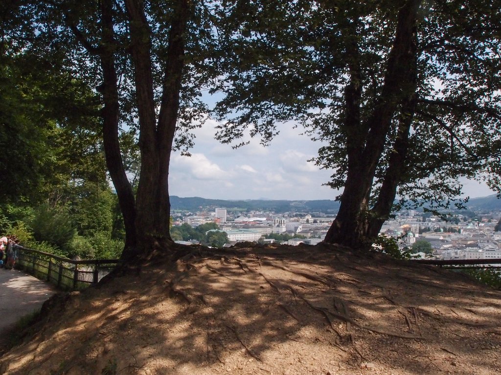 P7273037.jpg - OLYMPUS DIGITAL CAMERA